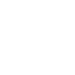 Apple Inc