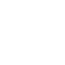 Asbury Automotive Group Inc