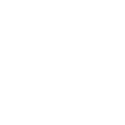Arbor Realty Trust Inc