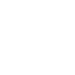 Autodesk Inc