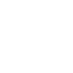 American Eagle Outfitters In