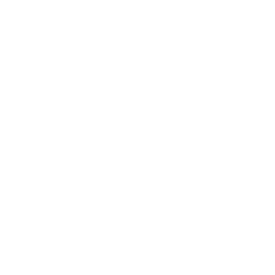 American Intl Group Inc