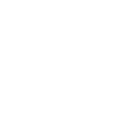 Autoliv Inc