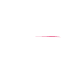 Autonation Inc