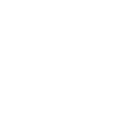 Arista Networks Inc