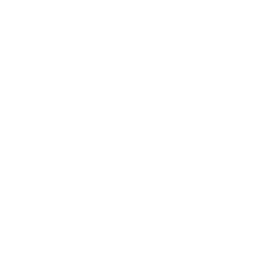 Arrow Electrs Inc