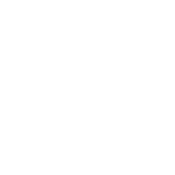 Asml Hldg Nv
