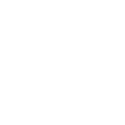 Armstrong World Inds Inc New