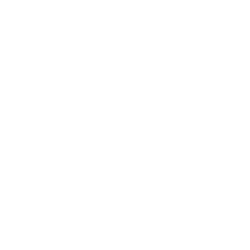 Axon Enterprise Inc