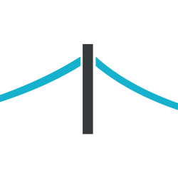 Bridgebio Pharma Inc