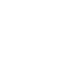 Birkenstock Holding Plc