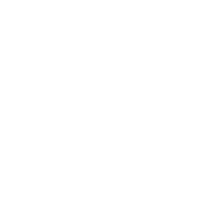 Babcock & Wilcox Enterprises