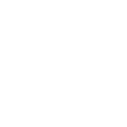 Bluelinx Hldgs Inc