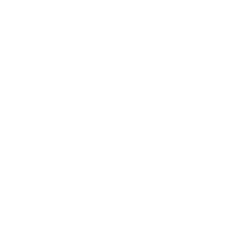 Consol Energy Inc New
