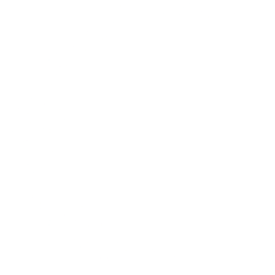 Carlyle Group Inc