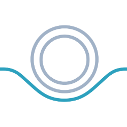 Dbv Technologies S A