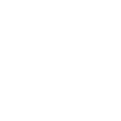 Digi Intl Inc