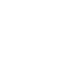 Disney Walt Co