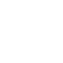 Dlocal Ltd