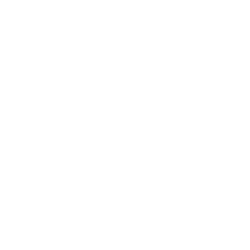 Lauder Estee Cos Inc