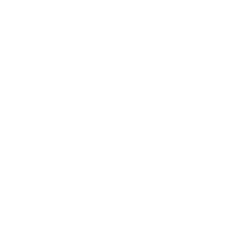 Formfactor Inc