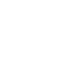 Fossil Group Inc