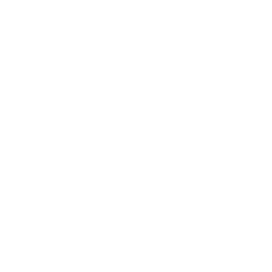 Corning Inc