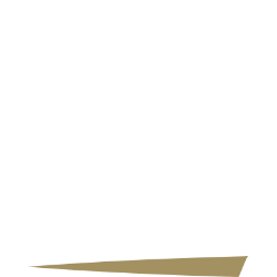 Gold Com Inc