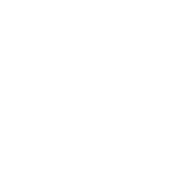 Gopro Inc