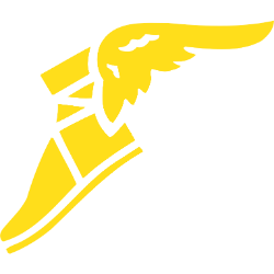 Goodyear Tire & Rubr Co