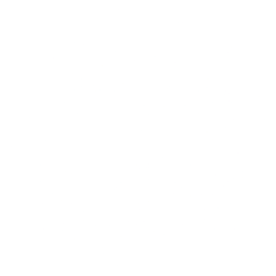 Innodata Inc