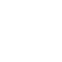 Samsara Inc