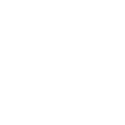 Kkr & Co Inc
