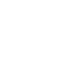 Lucid Group Inc