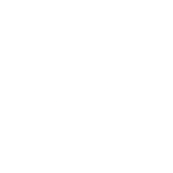 Lemonade Inc