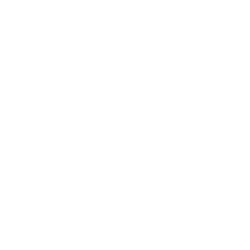 Cheniere Energy Inc