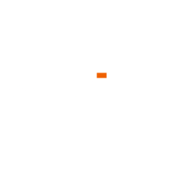 Stride Inc