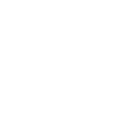 Annaly Capital Management In