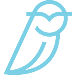 Blue Owl Capital Inc