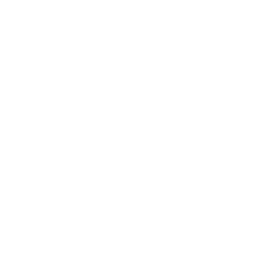 Penguin Solutions Inc