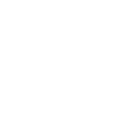 Polaris Inc