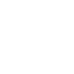 Qorvo Inc