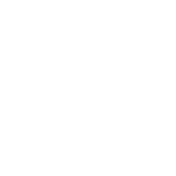 Ferrari N V
