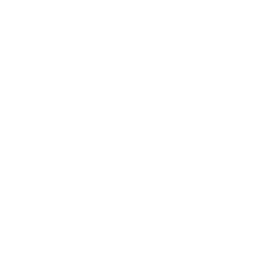 Royal Caribbean Group
