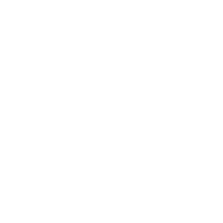 Roku Inc