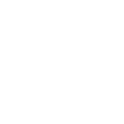 Boston Beer Inc