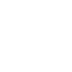 Stmicroelectronics N V