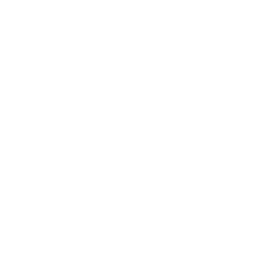 Skyworks Solutions Inc