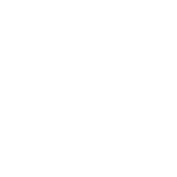 Toll Brothers Inc
