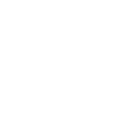 Unitedhealth Group Inc